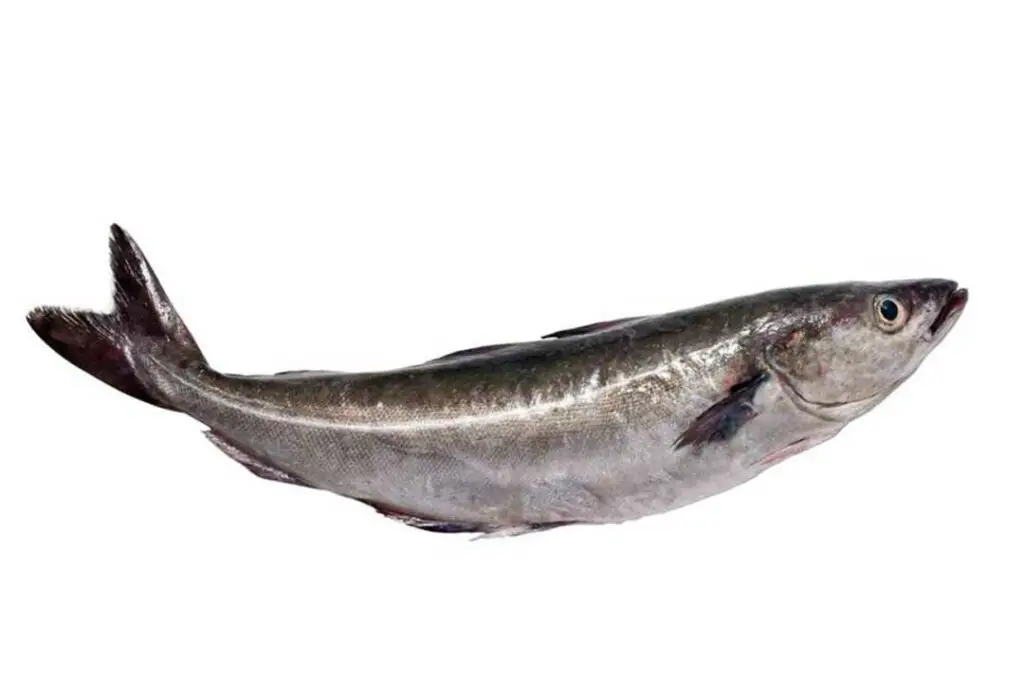 Le lieu noir HISSEZ HAUTS