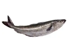 Le lieu noir HISSEZ HAUTS