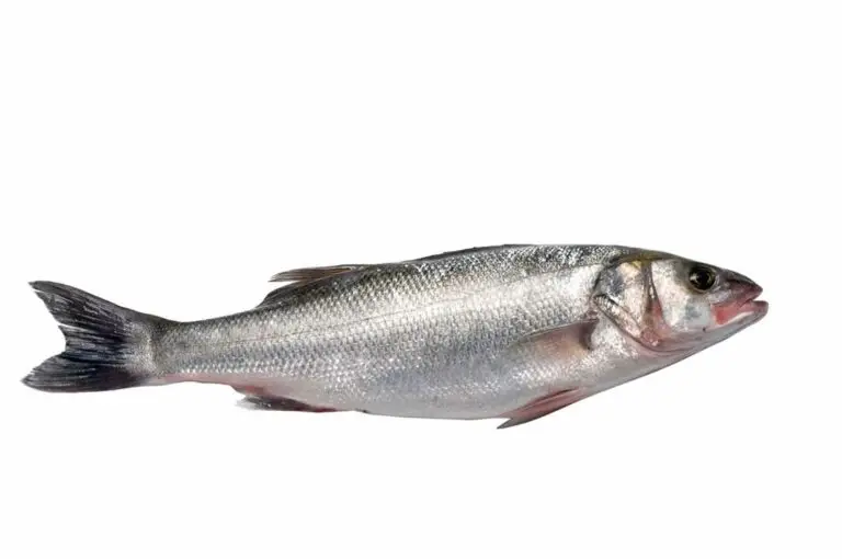 Bar d'élevage HISSEZ HAUTS