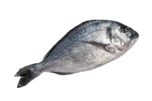 Dorade d'élevage HISSEZ HAUTS